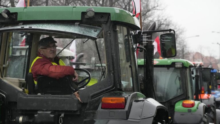 Polonya Ukrayna’dan gelen tüm tahıl ürünleri için kalite kontrolü yapacak