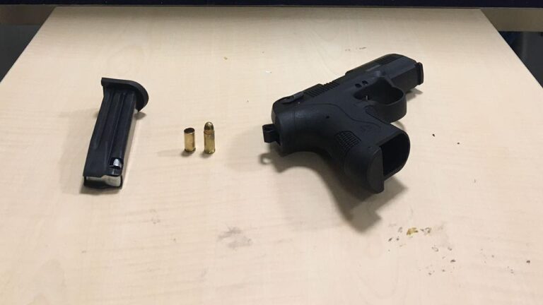 Adana’da çiftlikte ruhsatsız 2 tabanca ve av tüfeği ele geçirildi