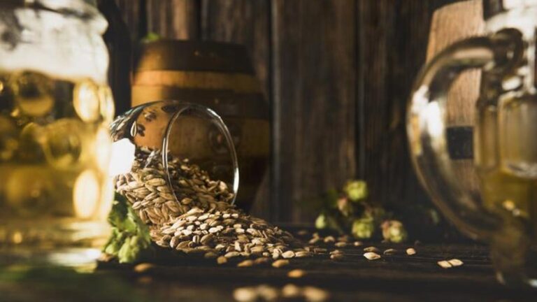 Bira Besin Değeri: Bira Kaç Kalori?