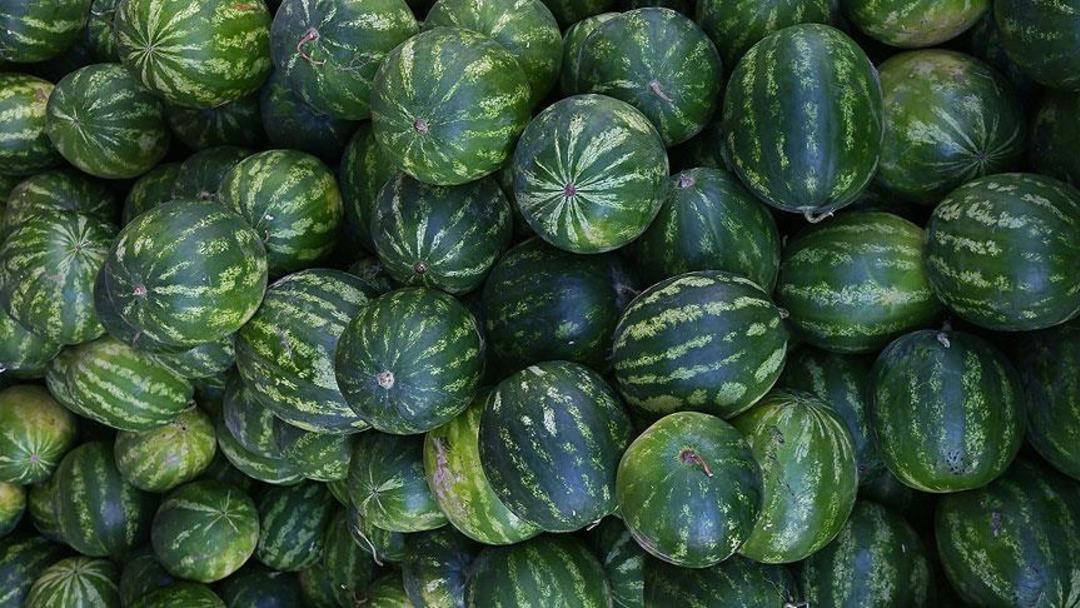 thumbs_b_c_2743b25d05b57ac58459b87ec7bf0bd