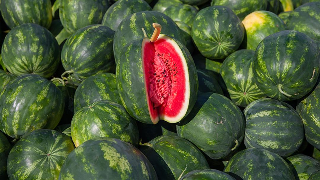 2018_04_karpuz_hasadi_864_1