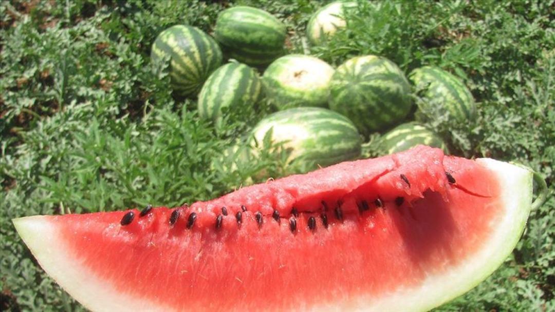 thumbs_b_c_90b6e6cb4588beef1cf8dec24c93708d