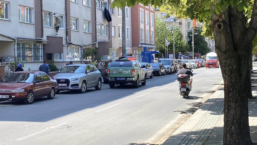 Eskihir'de Esrrengiz: Ölü Kediler birkaç noktada bulundu! Takımlar harekete geçti 3