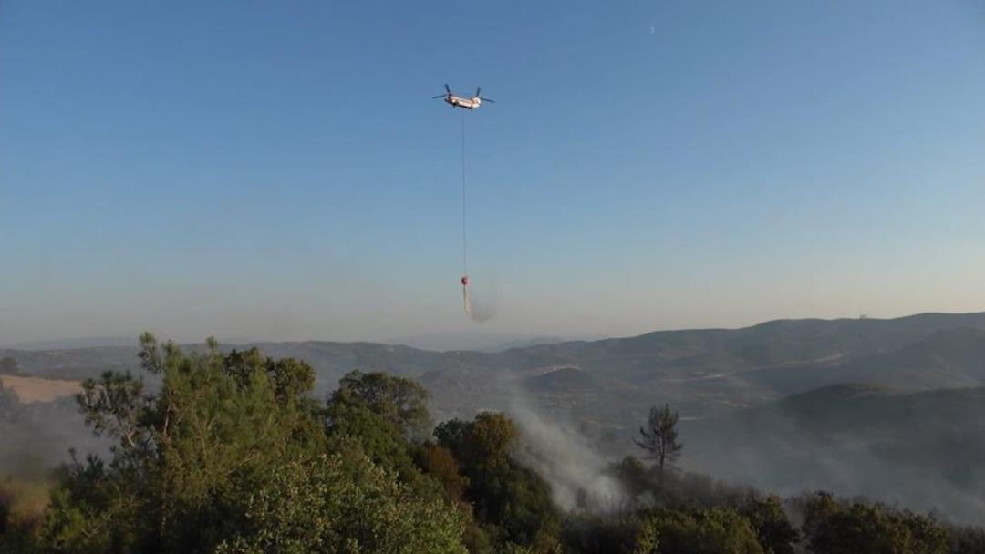Baliekesir'deki orman yangını kontrol edildi 2