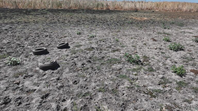 Edirne’deki Yağcılı Göleti tamamen kurudu