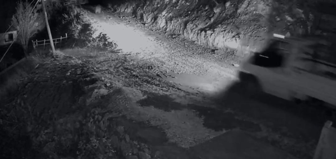 Mahalle sakinlerini mutsuz eden ayıya evinin önünde yatarken saldırdı! Kamyonuyla kovaladı 3